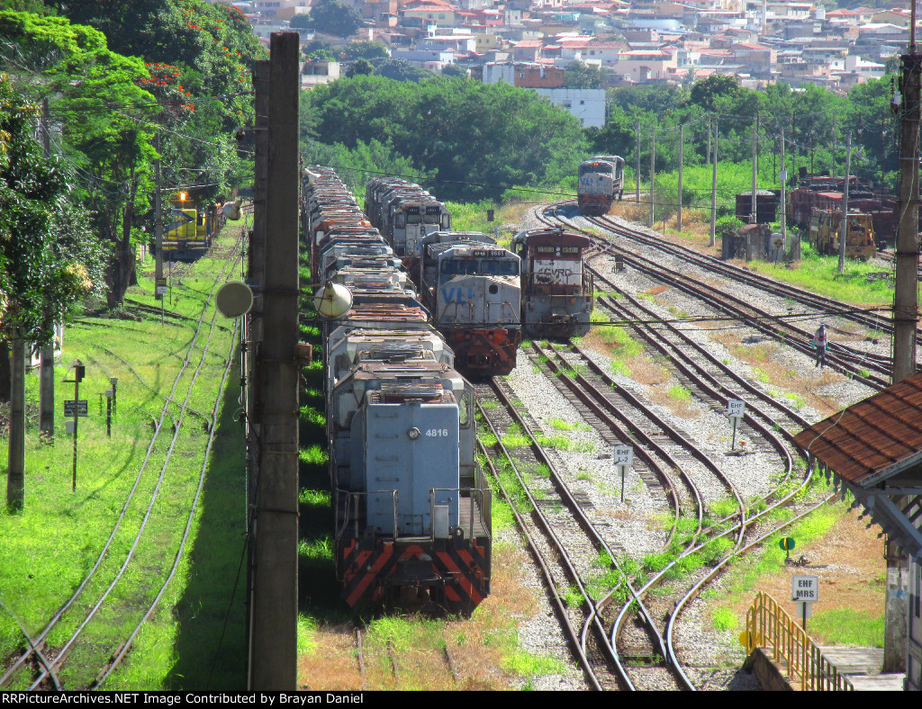 VLI 4816
